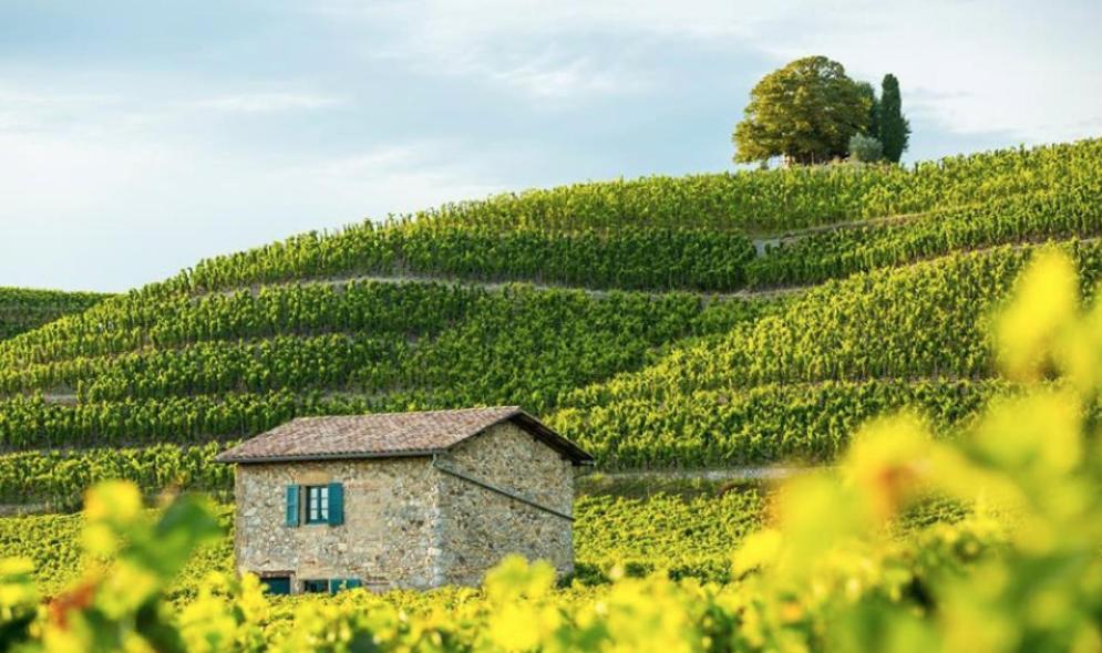 Les Gites De La Galaure Spa En Option Chateauneuf-de-Galaure 外观 照片